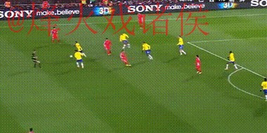 全面解析世界杯比分全站动态