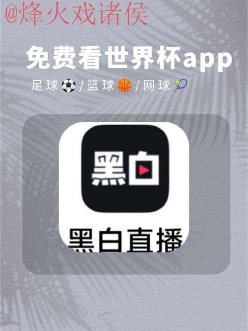 免费下载热门世界杯直播助手